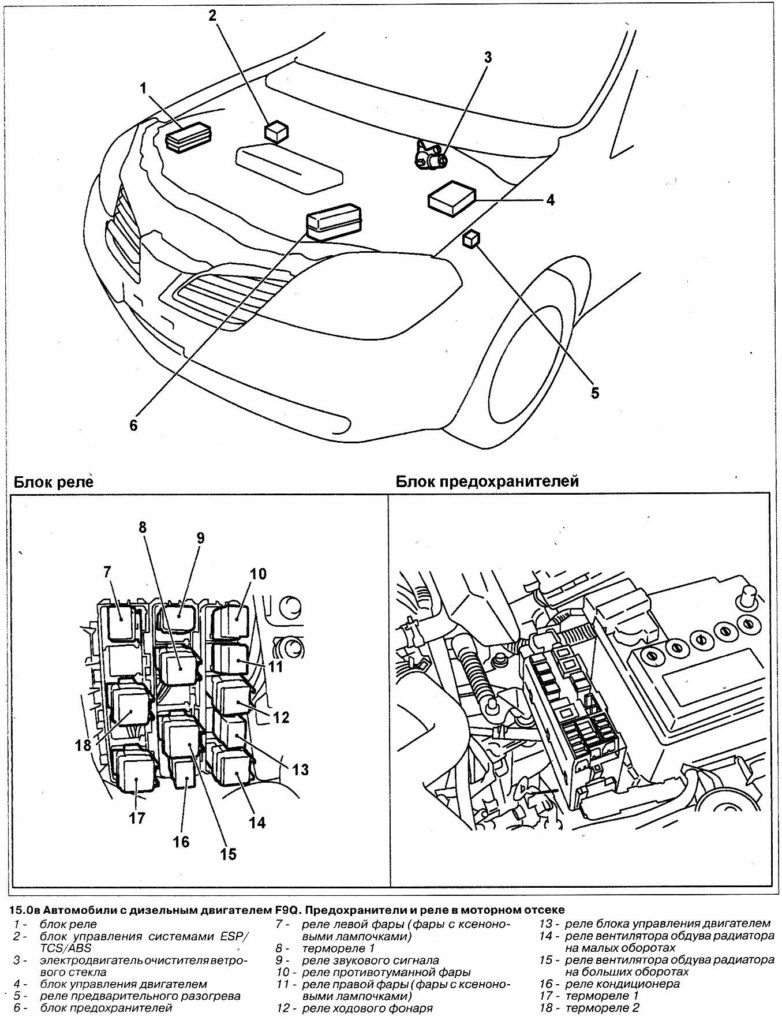 Vue générale du compartiment moteur du véhicule.